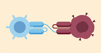 イムデトラによる治療イメージ