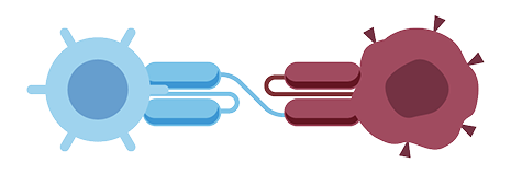 投与スケジュールイメージ